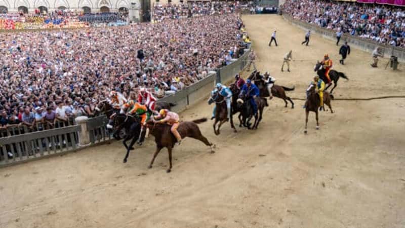 Palio Horse Race in Siena
