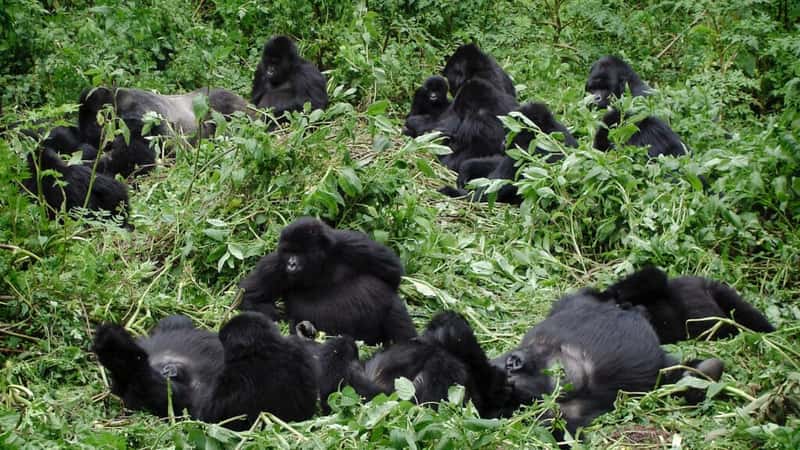 Rwanda