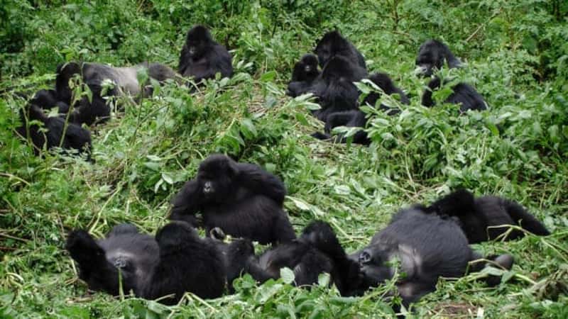 Rwanda