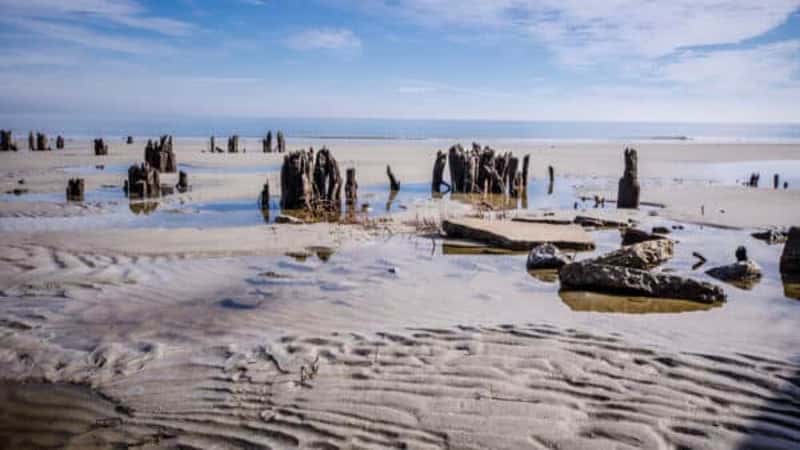 Hunting Island State Park