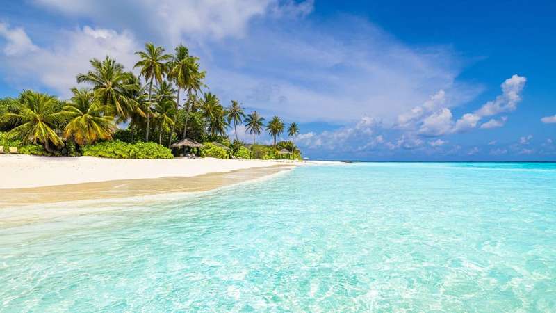 Beach resort landscape, tropical waves surf. Sunny sky horizon summer tourism vacation. Relax luxury background. Amazing sea view blue sea, exotic travel destination. Palm tree white sand dream vibes