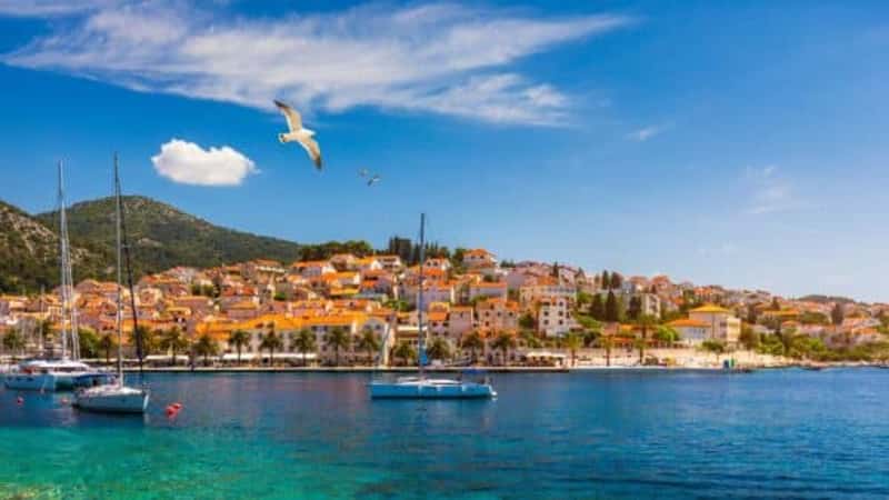 Hvar town with seagull's flying over city, famous luxury travel destination in Croatia. Boats on Hvar island, one of the many Islands near Dubrovnik and Korcula on the Dalmatian Coast of Croatia.