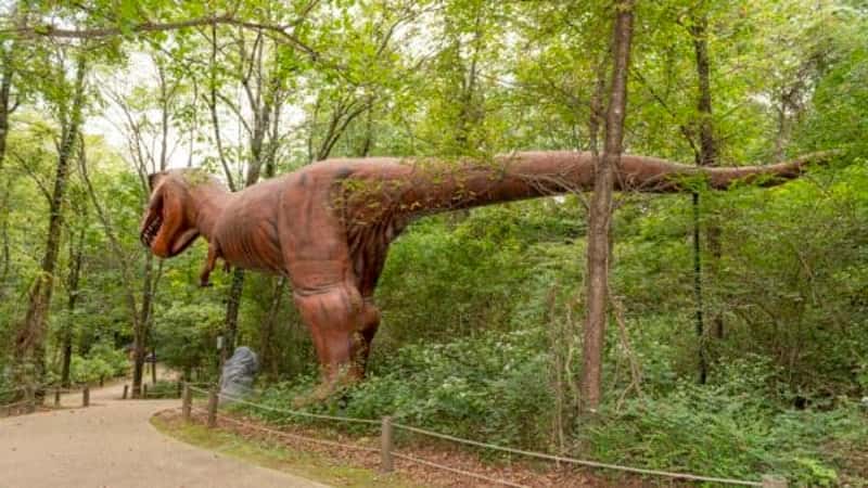 Dinosaur World