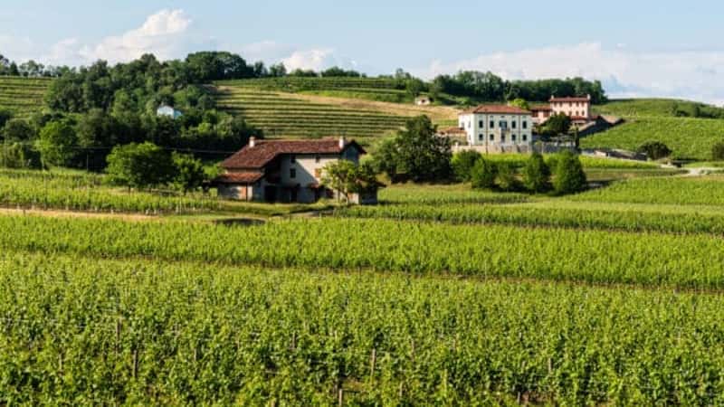 Tokaj