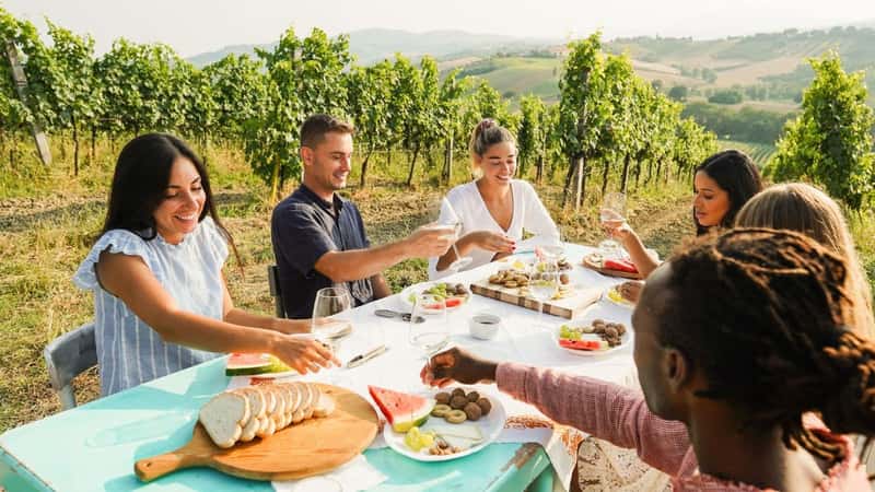 Happy adult friends having fun drinking white wine and eating together with vineyard in background - Multiracial people doing dinne at summer time in countryside resort - Main focus on blond girl face