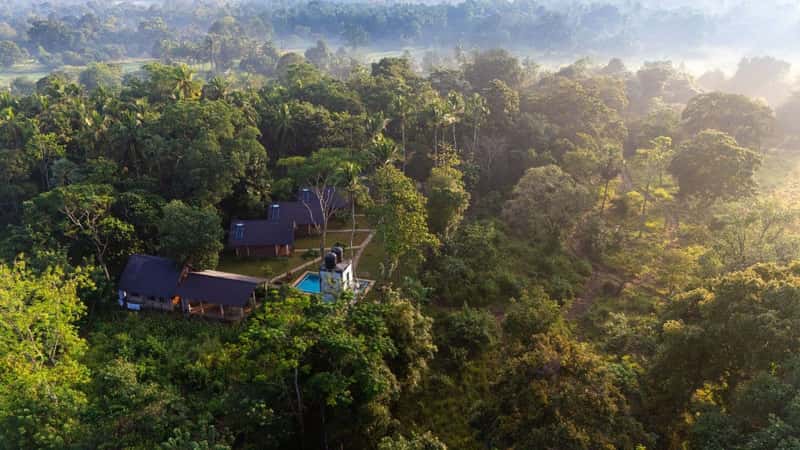 Serene getaway in Sri Lanka's greenery. A serene getaway in Sri Lanka featuring eco-friendly accommodations surrounded by verdant forests and gentle morning mist.