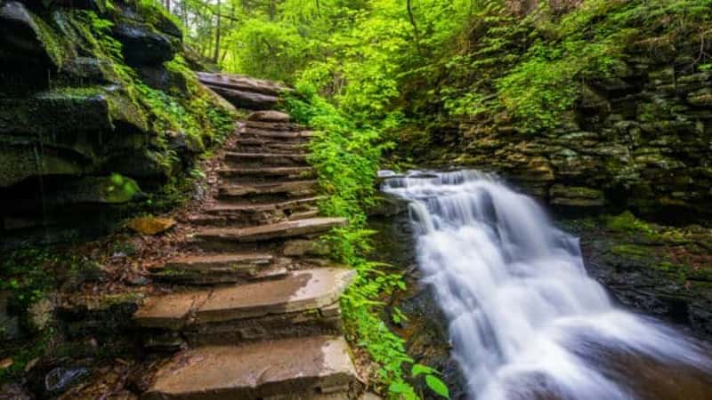 The Poconos