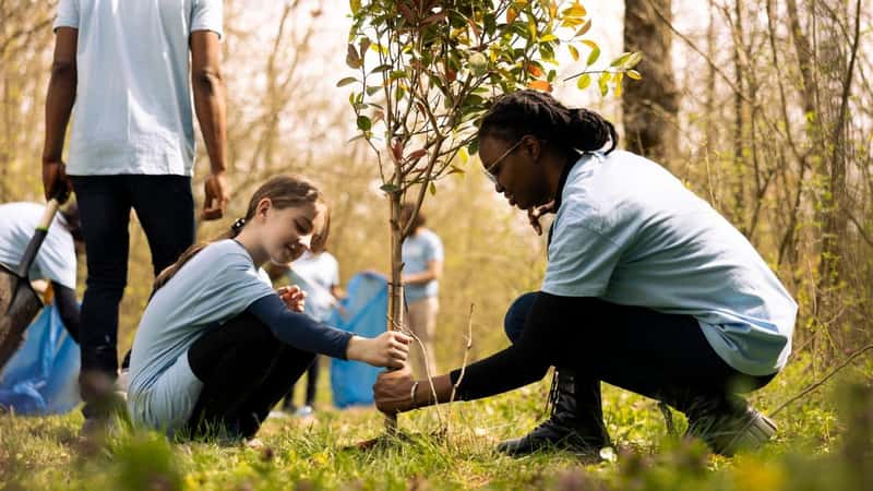 Two diverse activists working together to plant more trees and greenery, filling up ground holes and growing vegetation. Kid and teenager girls collaborating on preserving the environment.