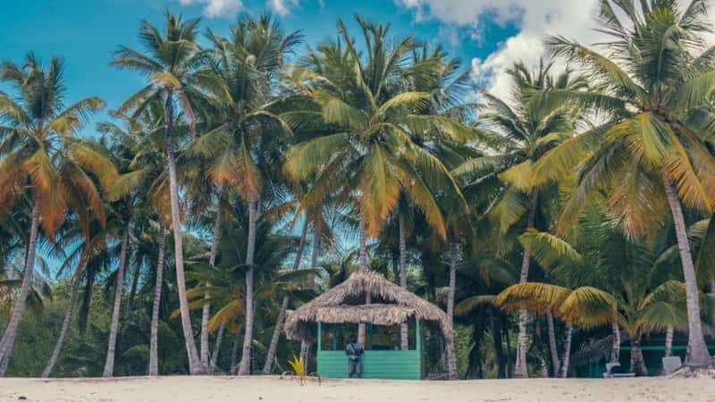 Paradise beach in the caribbean with wood house in the tropical world in dominican republic