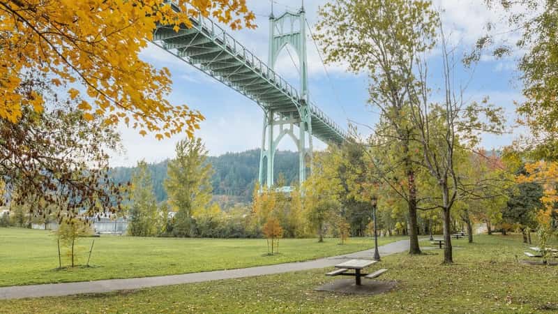 Autumn leaves and fall foliage with the St Johns Bridge at Cathedral Park in Portland Oregon
