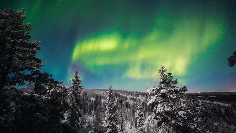 Green northern lights in Rovaniemi Finnish Lapland