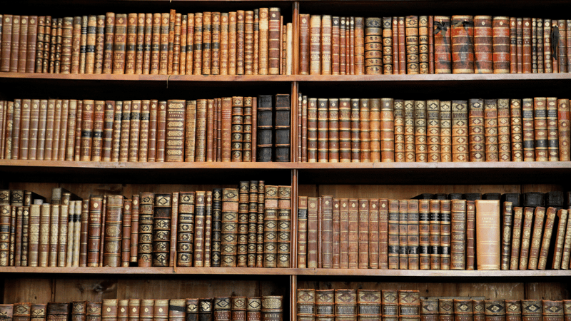 Old books in the Library of Vienna.