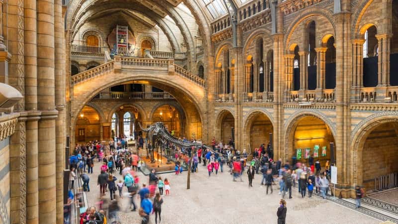 LONDON, UNITED KINGDOM - May 31, 2016: Natural History Museum interior, with tourists, in London
