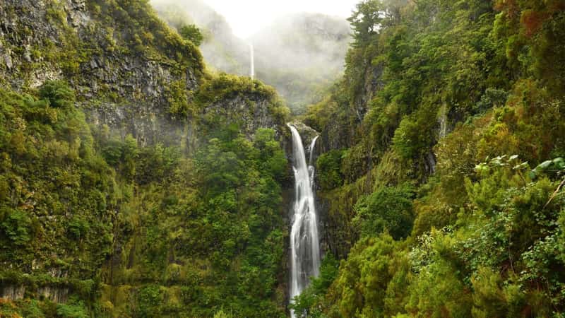 Risco waterfall - madeira island