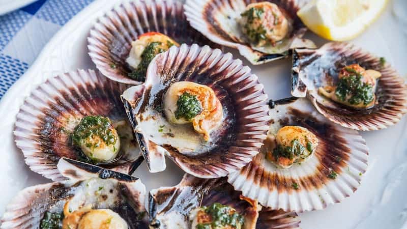 "Lapas" or true limpets with green moyo - traditional seafood of Tenerife and Madeira Islands.