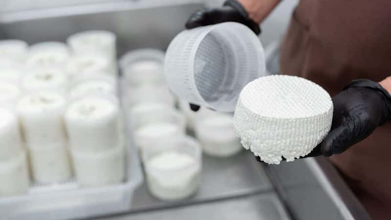 Filling molds for the production of soft cheese. The cheese blanks are soaked in brine