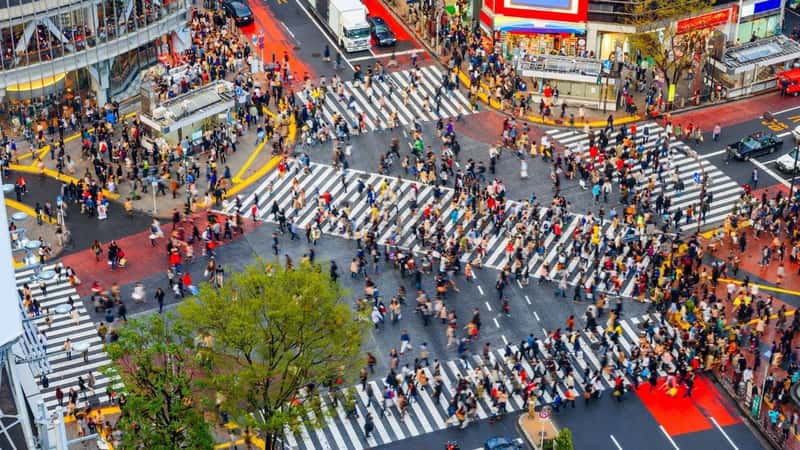 Shibuya, Tokyo, Japan crosswalk and cityscape in the late afternoon.