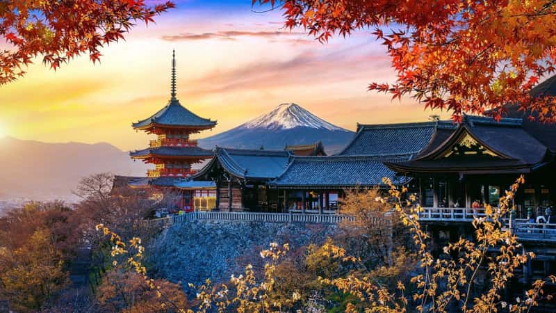 Autumn season at sunset in Japan. Travel concept.