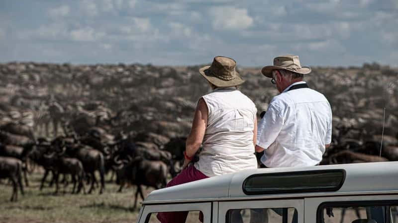 Two tourists enjoying the wildebeest migration from the roof of a safari vehicle in serengeti national park, tanzania