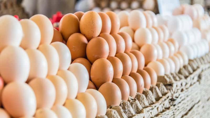Fresh chicken eggs sold on the street market stall.