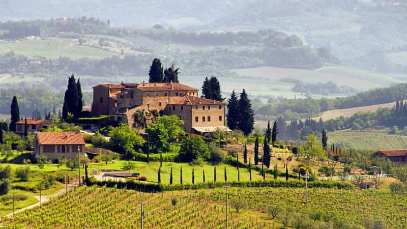 Tuscany vineyard