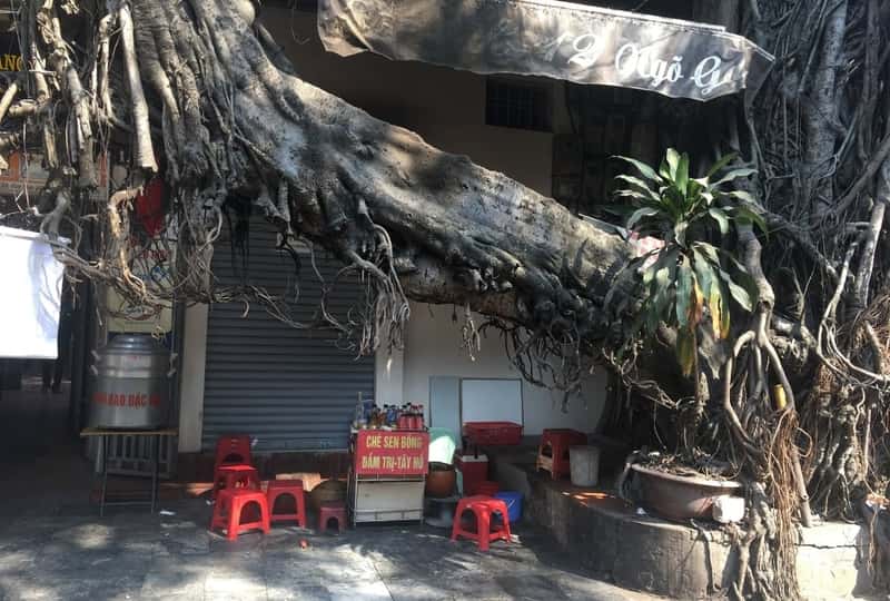 Eat Vietnamese Street Food Without Getting Sick
