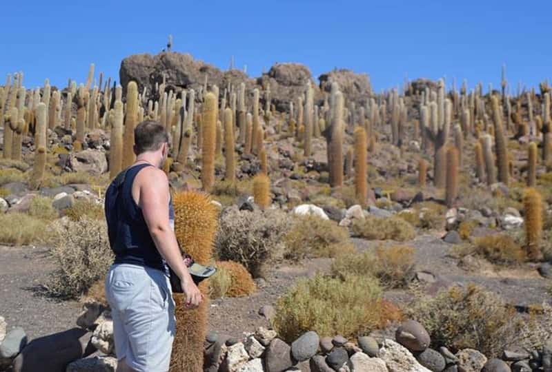 Isla Incahuasi_ The Cactus Island