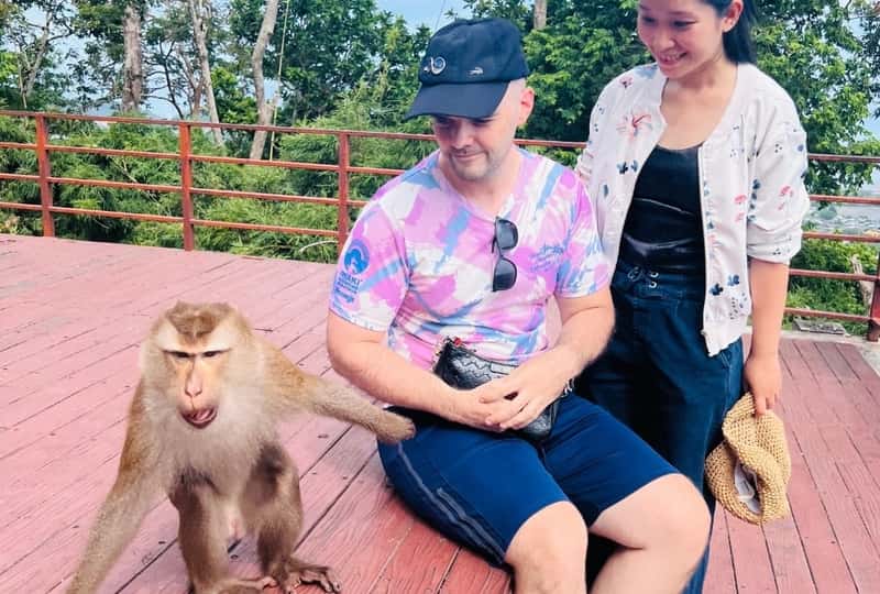 Year of Monkey