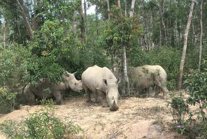 Phu Quoc Safari