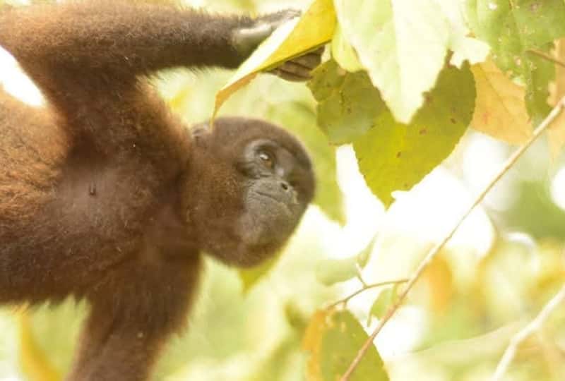 South America Travel Mistakes Not Buying Proper Equipment