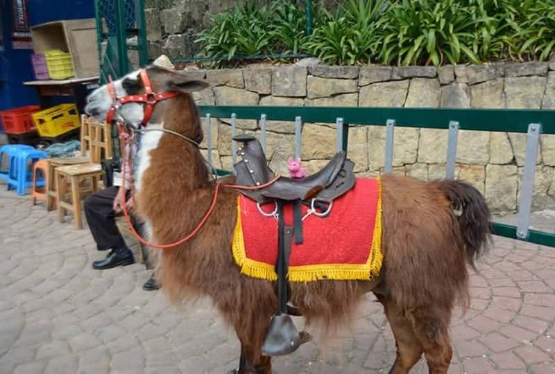 South America Travel Mistakes Trusting Local Tuk-Tuks