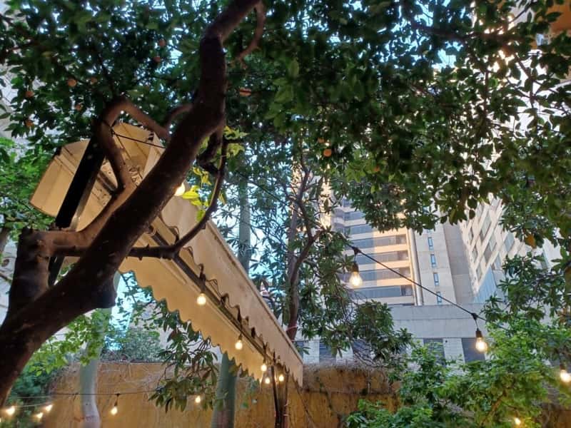 a tree and fairy lights under a building at cafe younes in beirut lebanon