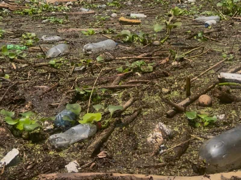 Garbage pile in the river
