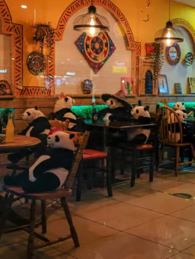 What to Avoid on Your First Visit to Mexico's Riviera Maya