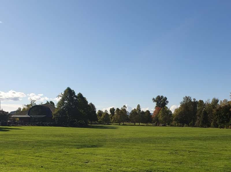 a green field with trees in the background in a park in salem oregon usa