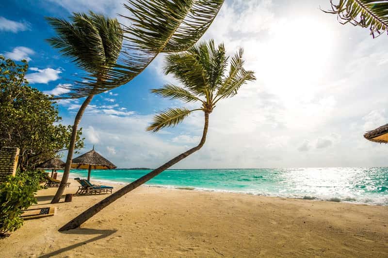 How rare are standard reward nights at the Waldorf Astoria Maldives? What the data shows