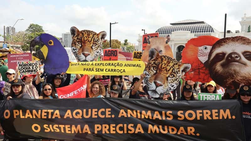 Amazon deforestation declines as Brazil reduces forest loss nationwide