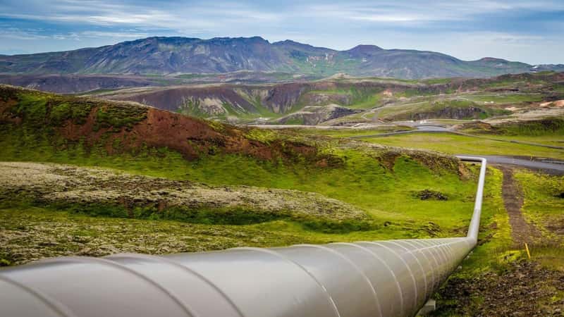 East African Crude Oil Pipeline threatens wetlands, wildlife corridors: Report