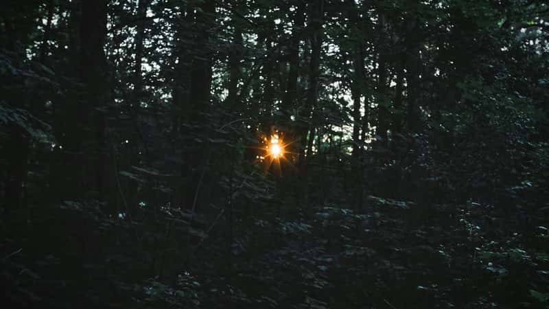 Finding the Best Wipes for Camping to Survive the Summer Heat