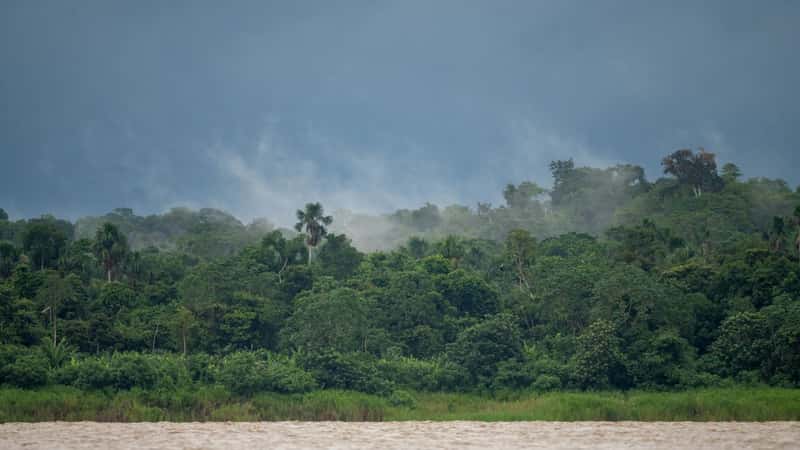 Which Peruvian Amazon Cruise Duration Matches Your Travel Style