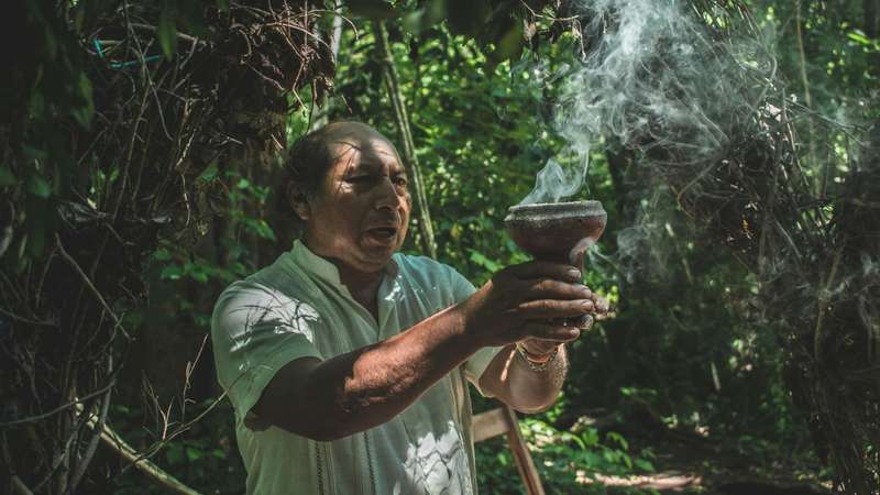 Global pressure on ayahuasca threatens Amazonian plants and knowledge systems