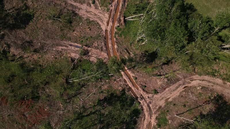 New analysis breaks down 2025 Amazon deforestation, with good news and bad news