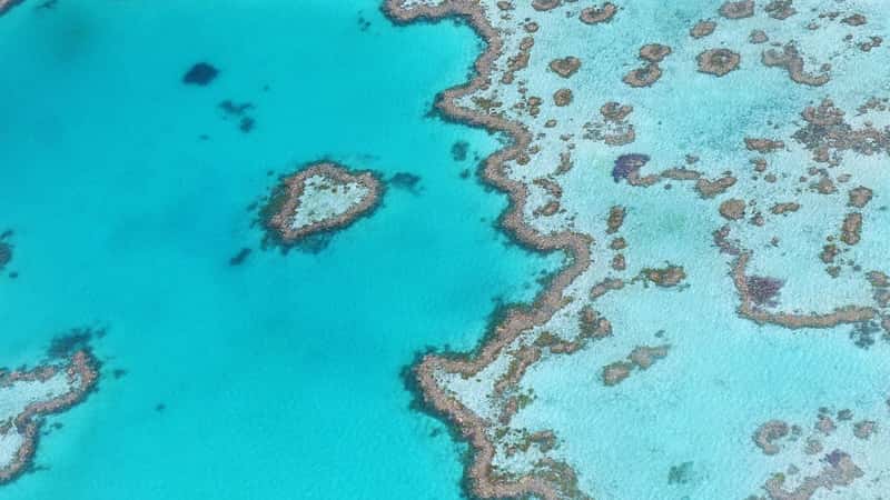 As Amazon oil drilling begins, scientists warn of risks to a little-known reef