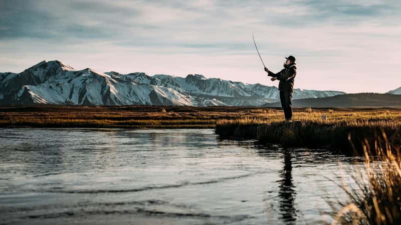 What I Learned by Fishing Without Rod, Reel, or Hook