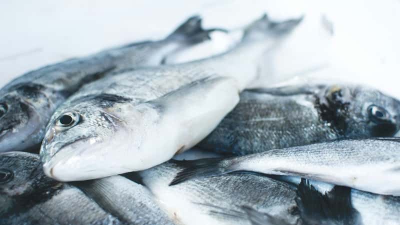 Aquatic animal and terrestrial meat trades now almost on par, FAO report finds
