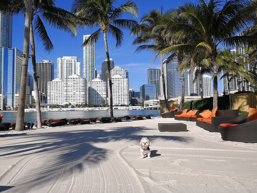 The manmade beach at Mandarin Oriental Miami.