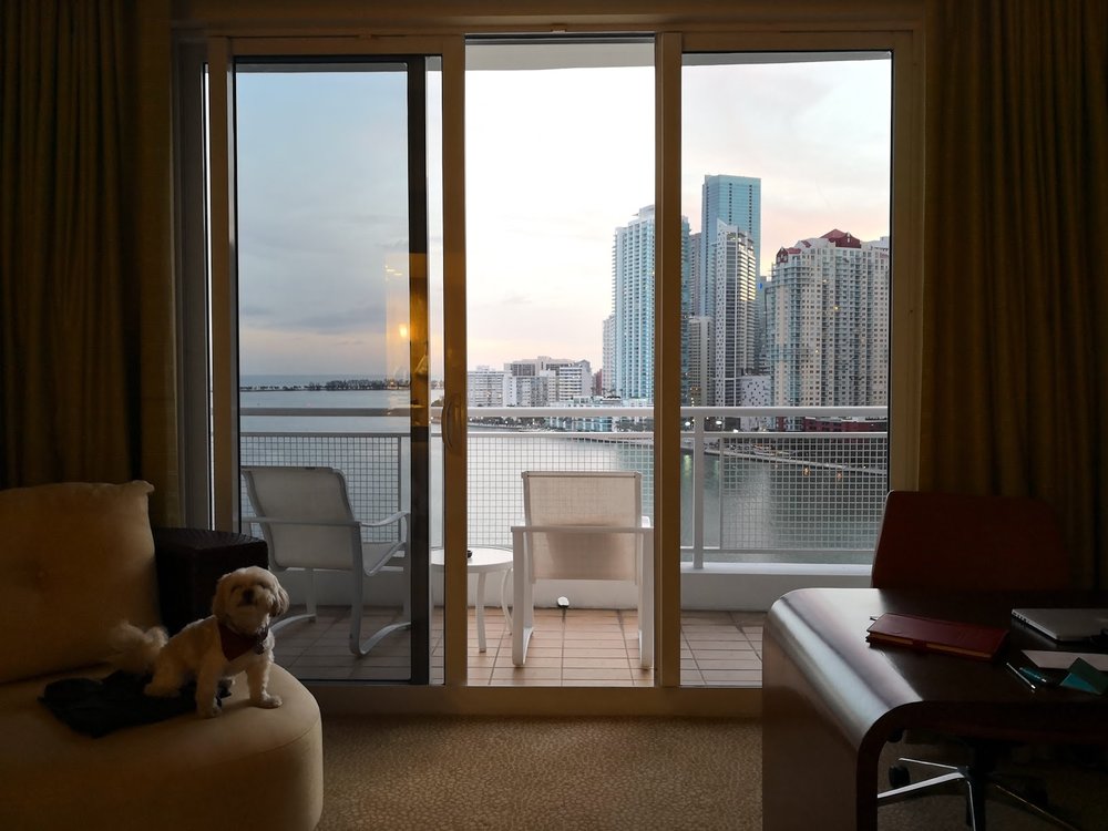 Check out the view from my room at Mandarin Oriental Miami.
