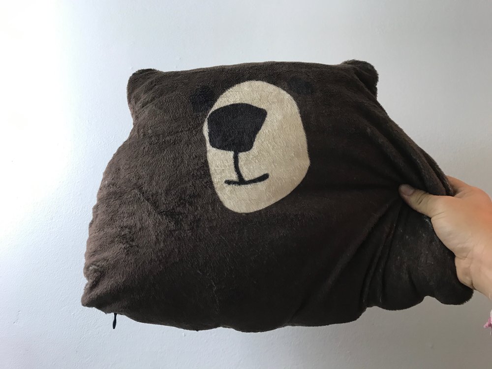 This is the bear pillow I always travel with (it definitely stands out so I no longer leave the pillow on planes!). If you're good at leaving things on planes, get a bear pillow. Or use your jacket or sweater.&nbsp;