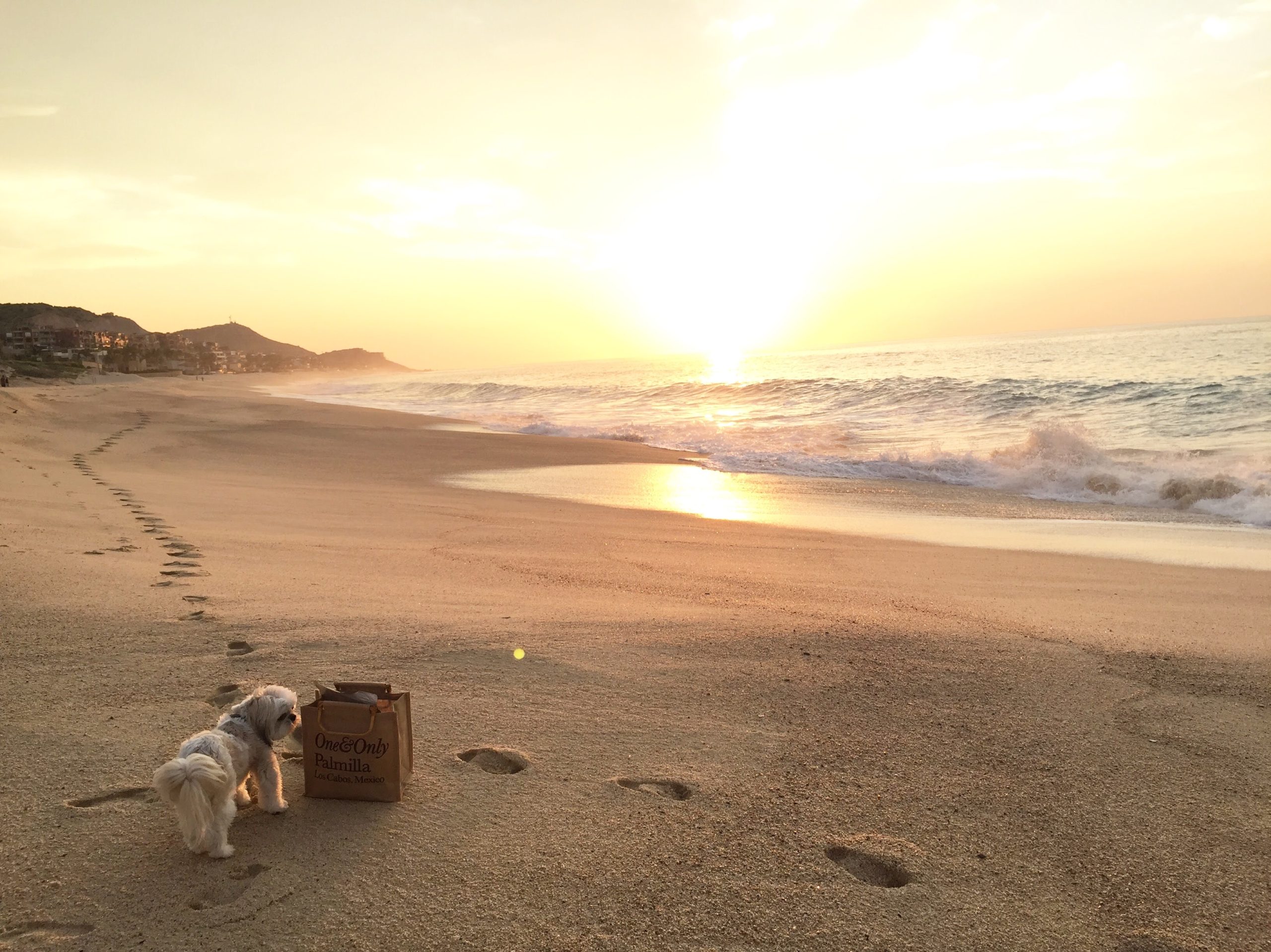 Ruby at One & Only Palmilla in Cabo.