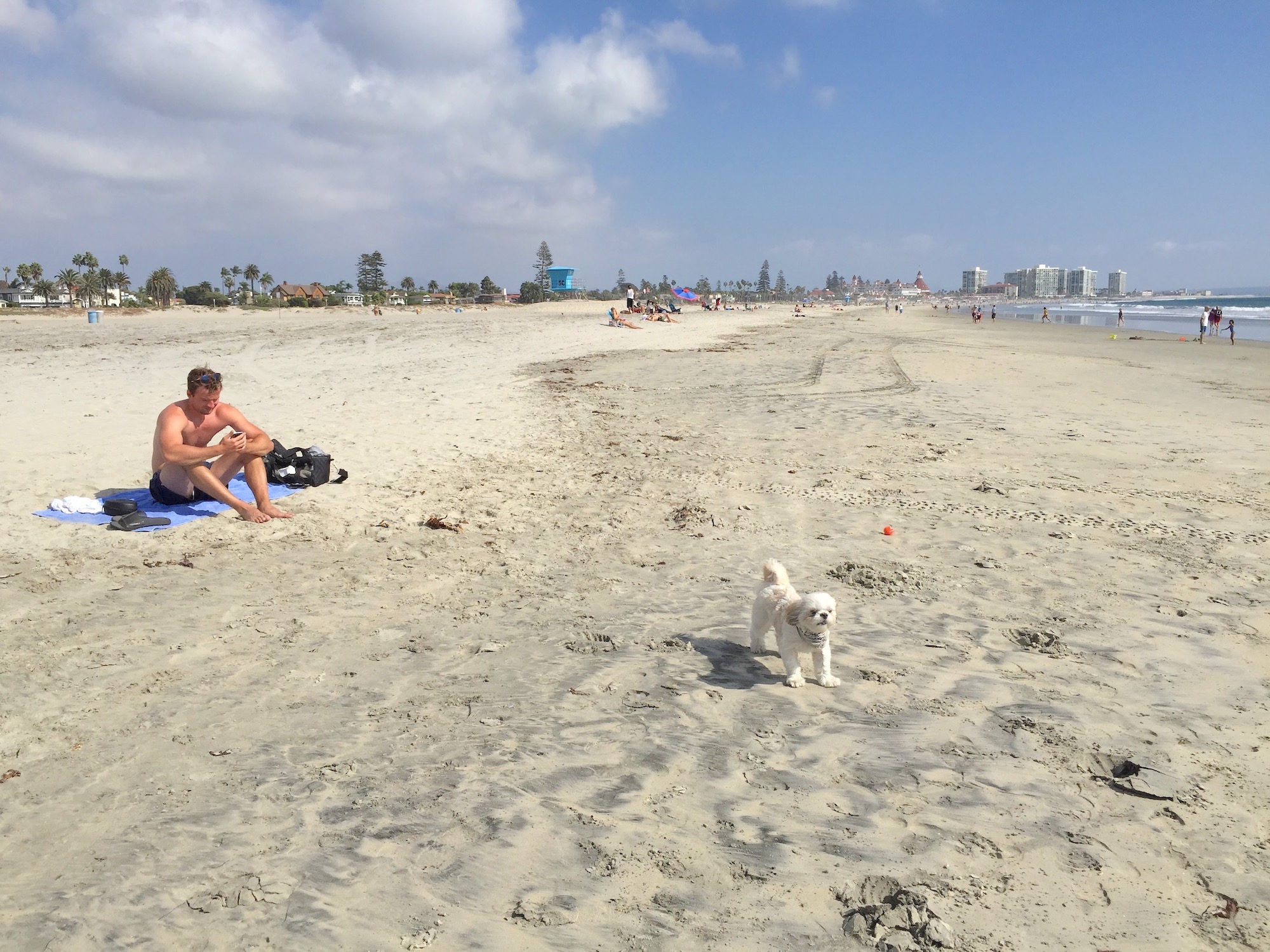 North Beach San Diego pet friendly